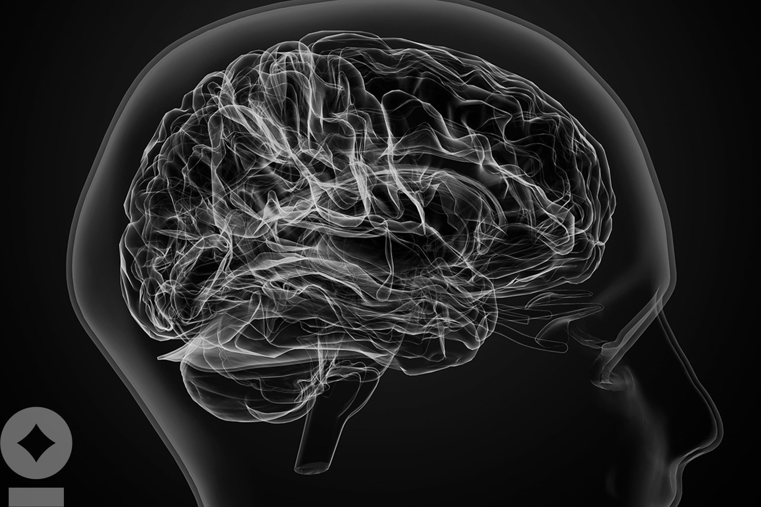 Brain Damage