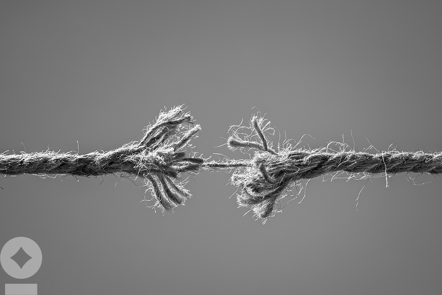 Catalysts Appearance: “People are shedding what they feel like are the most expensive parts of the portfolio,” says NewEdge Wealth’s Brian Nick