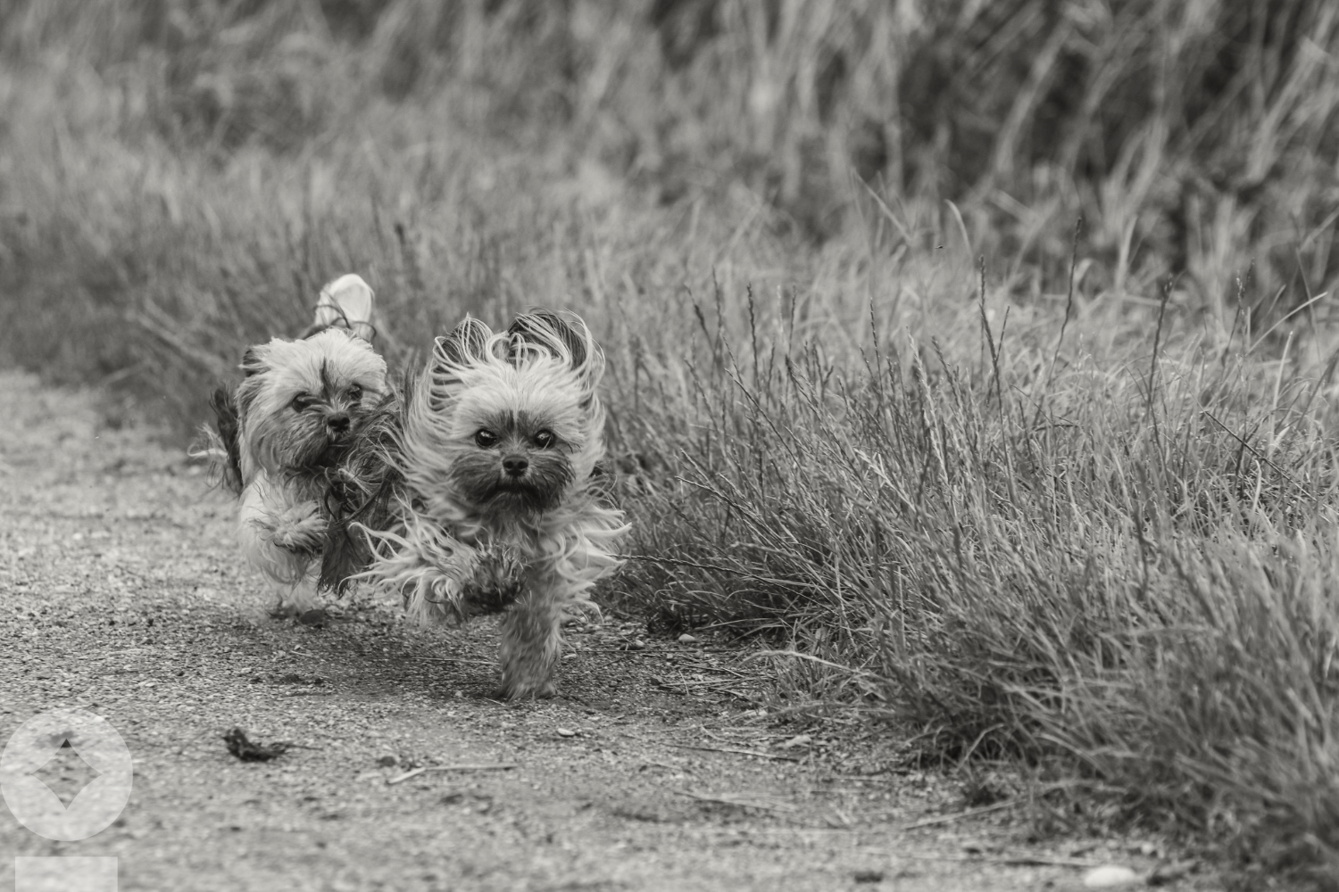 CNBC Appearance: Markets suggest a continued drift and chase higher, says NewEdge Wealth’s Cameron Dawson