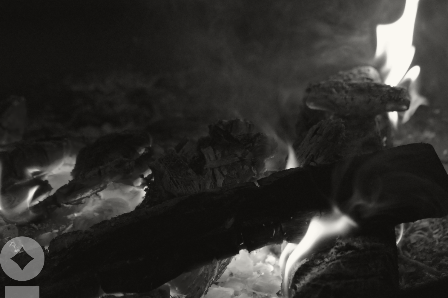 What It Is to Burn (Cash)
