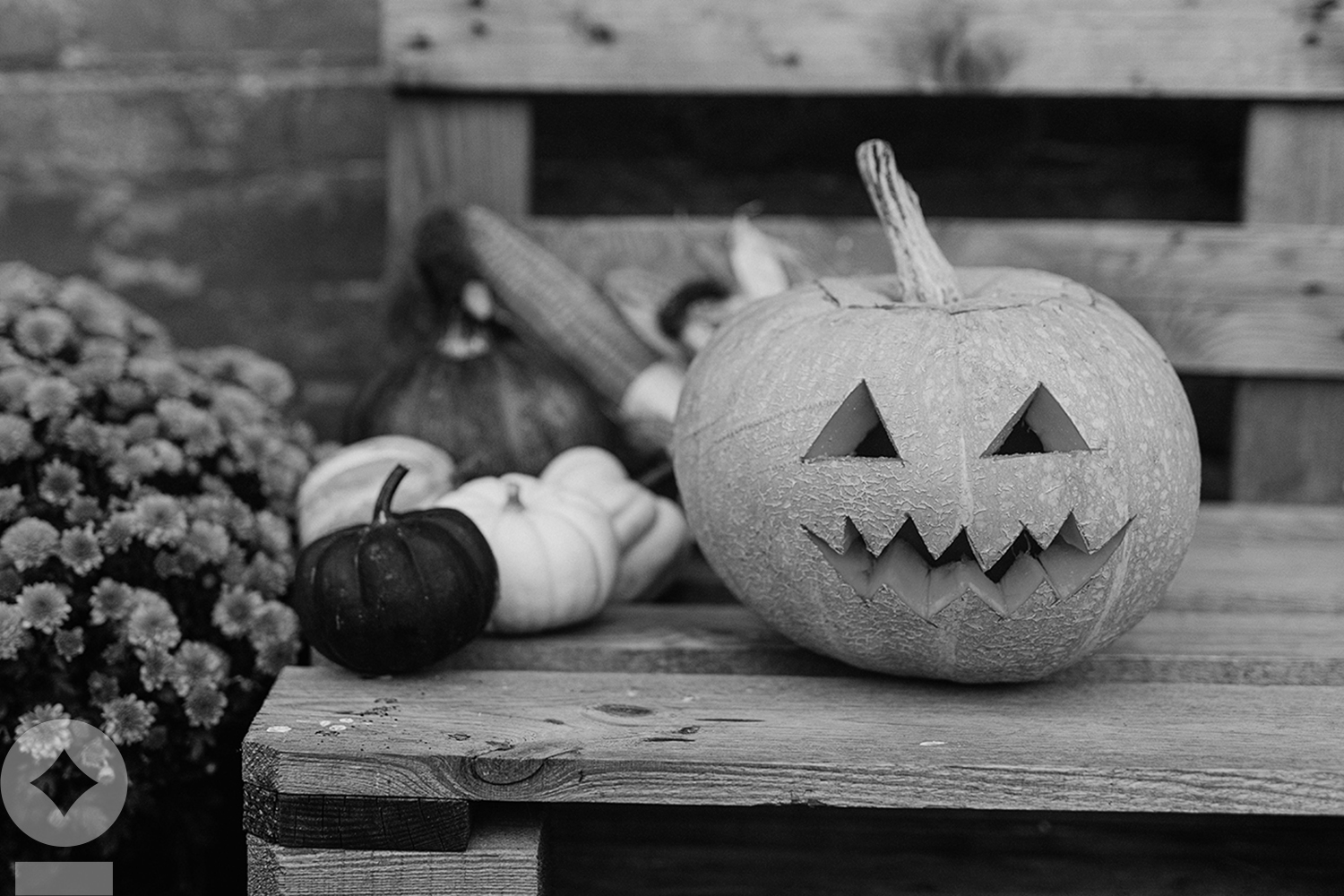 Equities’ Halloween Spooktacular